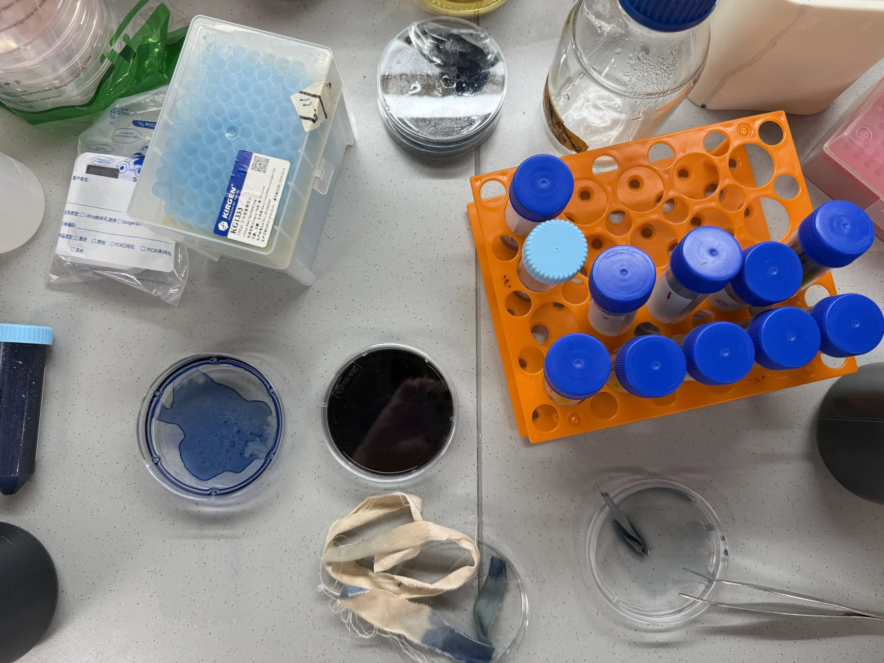 Blue bacterial pigments, culture vessels, and silk test strips arranged on a laboratory work surface